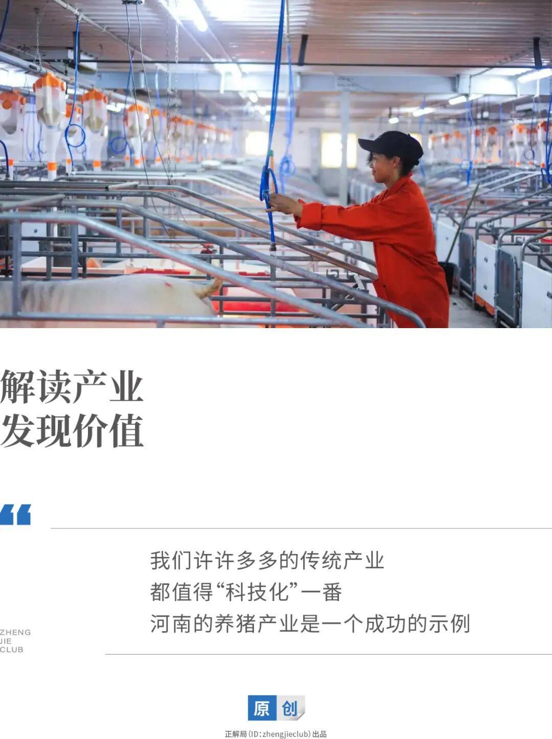 中国人能天天吃上猪肉，我们要感谢河南！