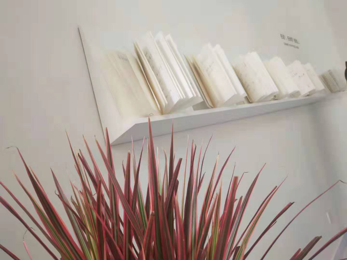 中国人寿前三季度业绩亮眼：新业务价值大增41.8%