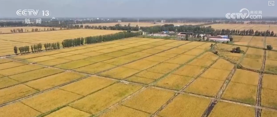 2025中国经济三季报：1623.9亿乡村投资，263.2万亿物流，506亿人次流动