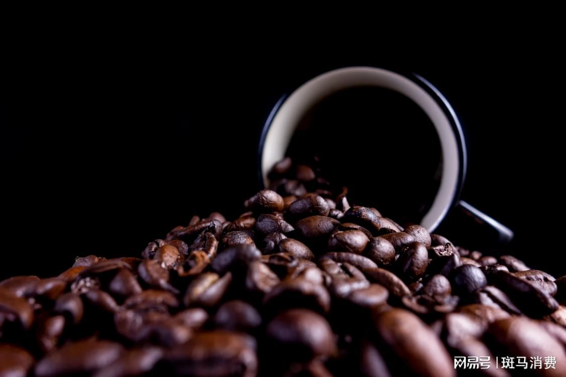 云南咖啡丰收背后：品质升级与市场突破的双重驱动