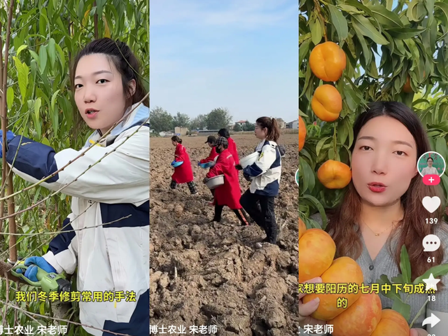 桃博士农业宋老师账号截图