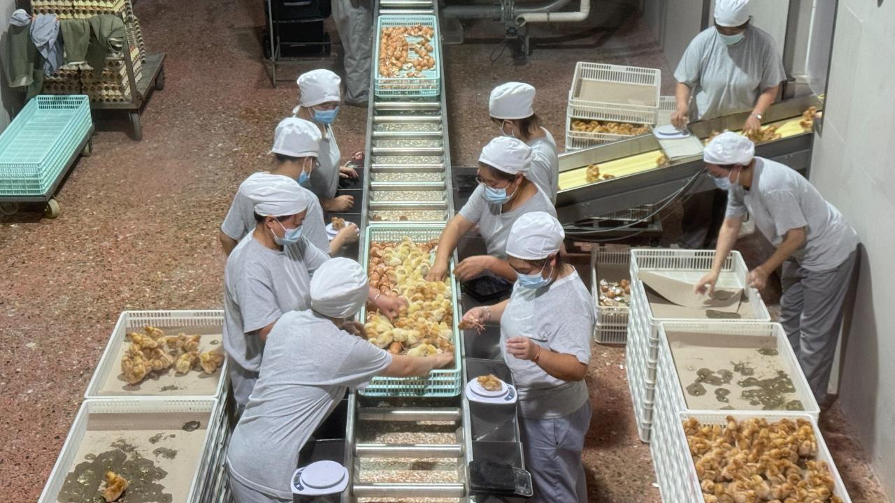 农业“中国芯”崛起：平谷探秘种业振兴新路径