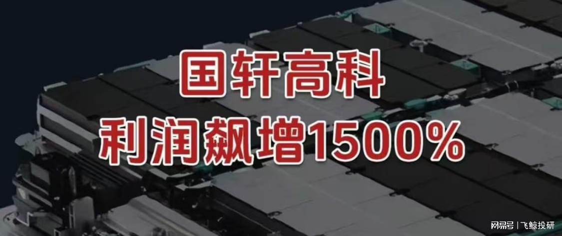 国轩高科押注奇瑞，净利润飙增1500%背后真相