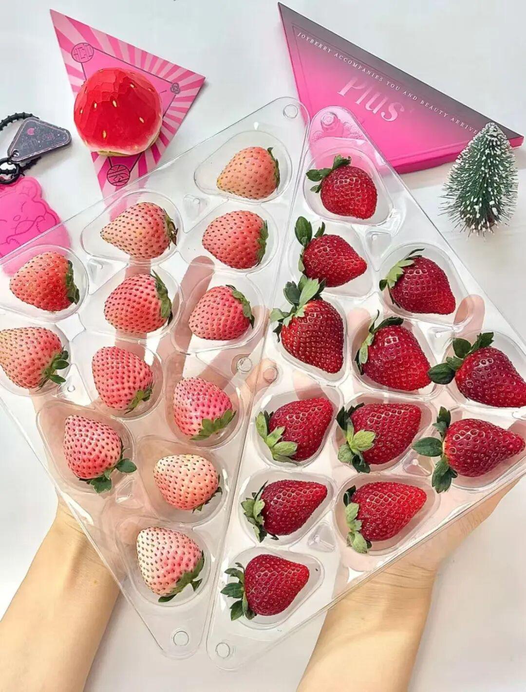 一颗草莓的产业革命：桃喜莓莓全产业链创新重塑农业品牌