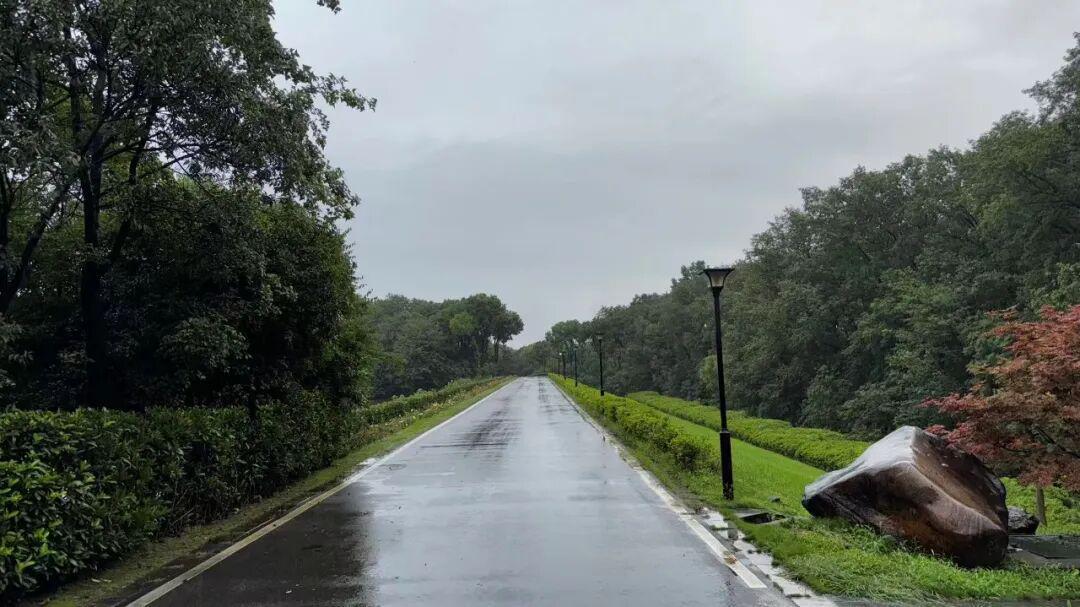 立案！光环下的清越科技，藏着多少“秘密”？