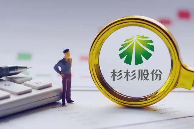 杉杉集团重整方案遭否决：债权人质疑三公原则，信任危机显现