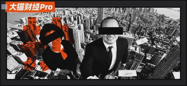 潘石屹夫妇356亿抄底美国房产，纽约地产新布局引关注