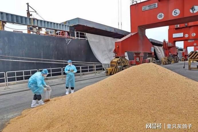 中国取消巴西800万吨大豆订单，转购阿根廷130万吨，巴西自食恶果