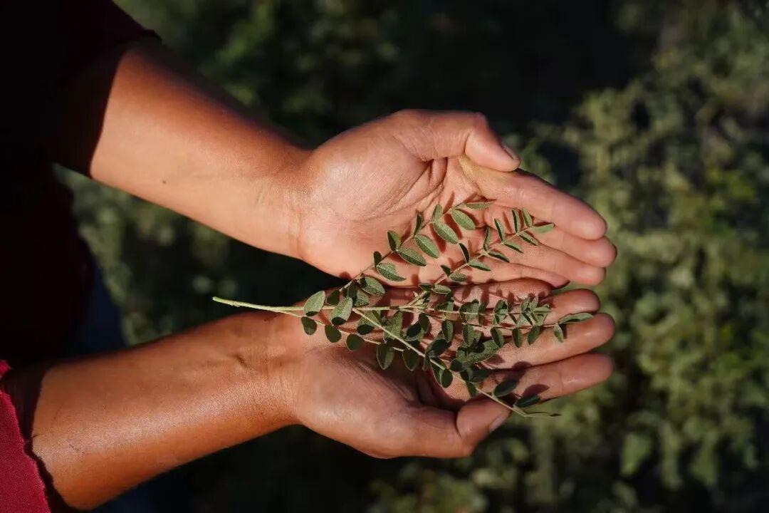 谷雨美妆：狂飙50亿背后的成长与挑战
