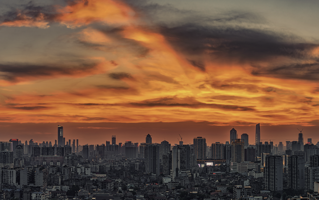 央行重启国债买卖：200亿净投放助力债市稳健发展