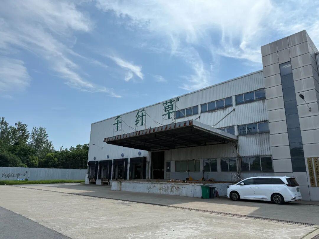 20年不涨价！千纤草丝瓜水拼多多热销，国货美妆新标杆