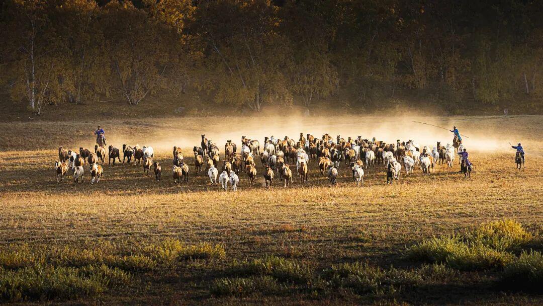 A股年末生肖概念狂欢：马字股领涨背后的投资逻辑与风险