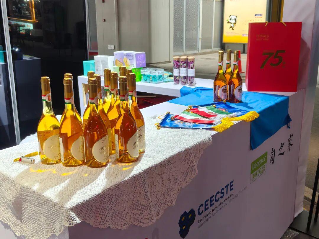 进博会亮点：匈牙利皇宫堡展台演绎中匈友谊新篇章