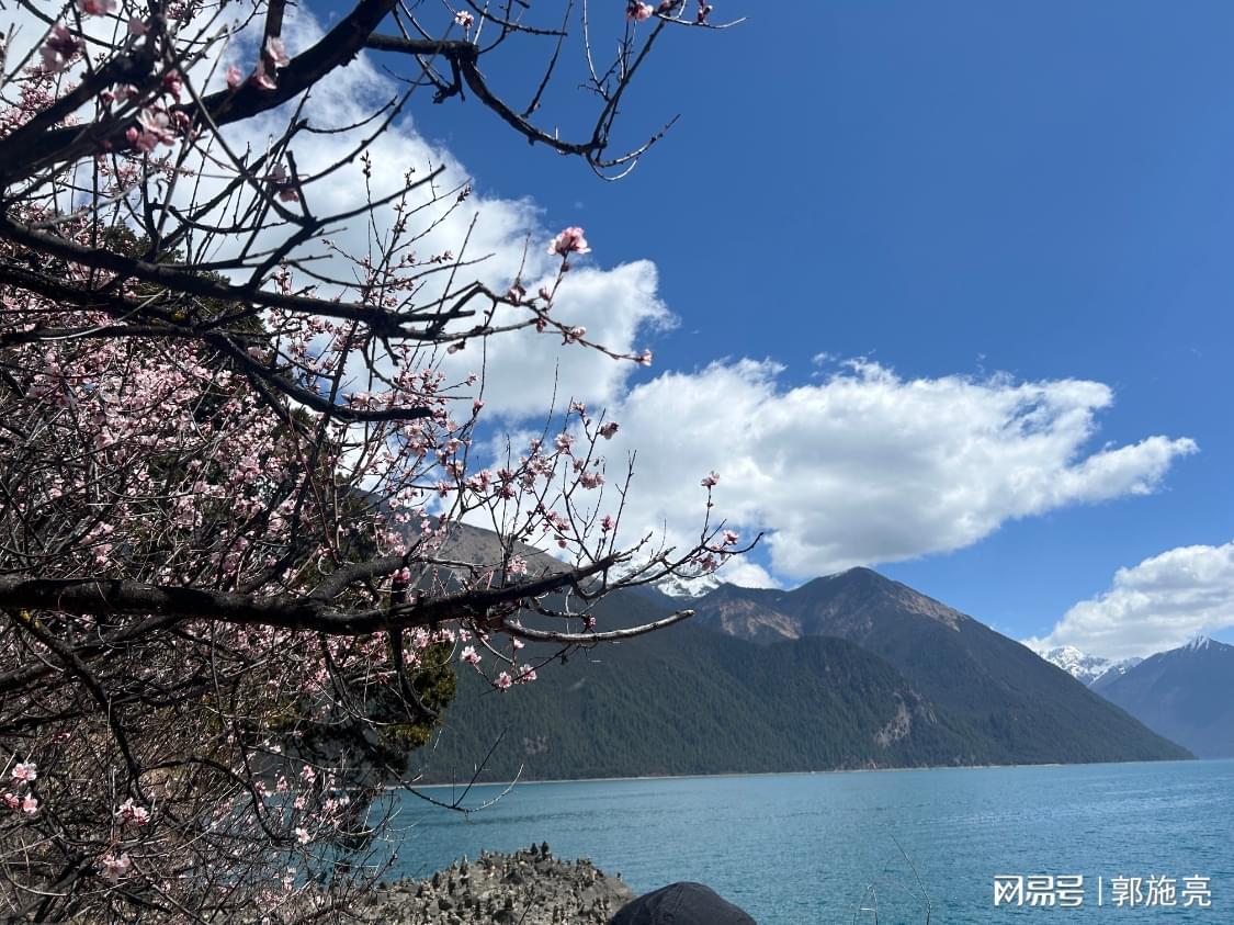 贵州茅台启动第二轮回购：注销式回购与中期分红能否稳住股价？