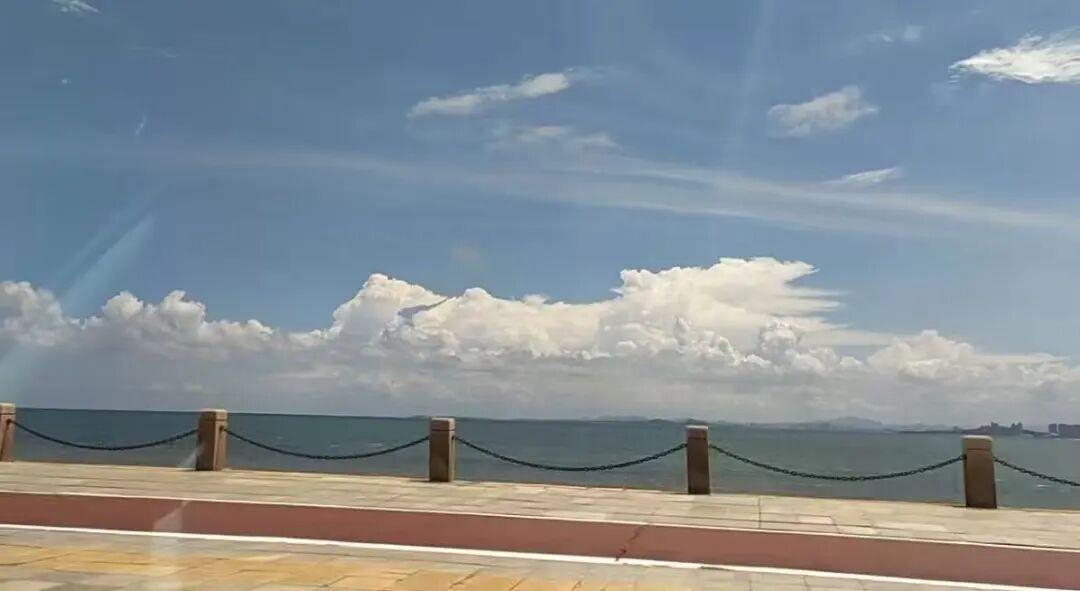 32个“完美男人”的骗局：为离婚女人“定制”买房陷阱，涉案金额达几千万