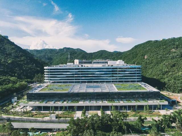 AI赋能基因医疗：华大基因“B+C”双轮驱动引领行业革新