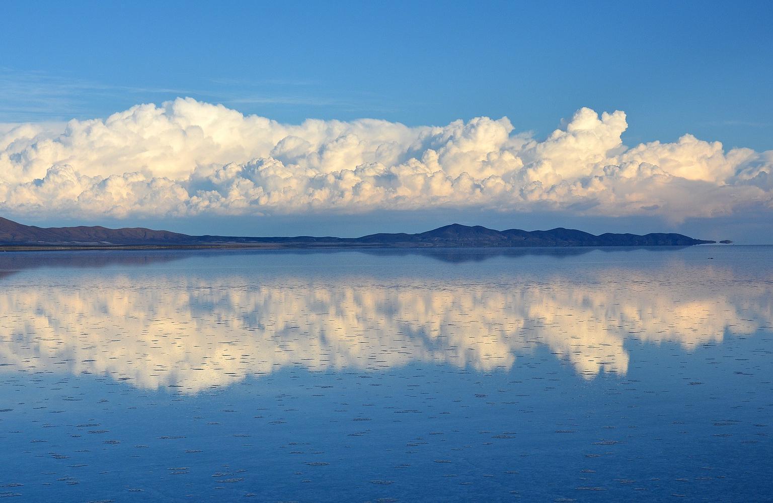 中诚咨询北交所上市：领跑工程造价行业，新型城镇化释放千亿市场