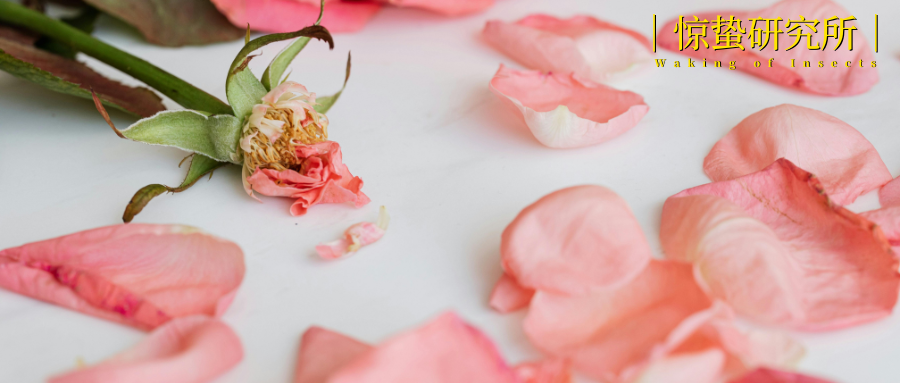 饿了么17年历程：从崛起至融入淘宝闪购的变迁