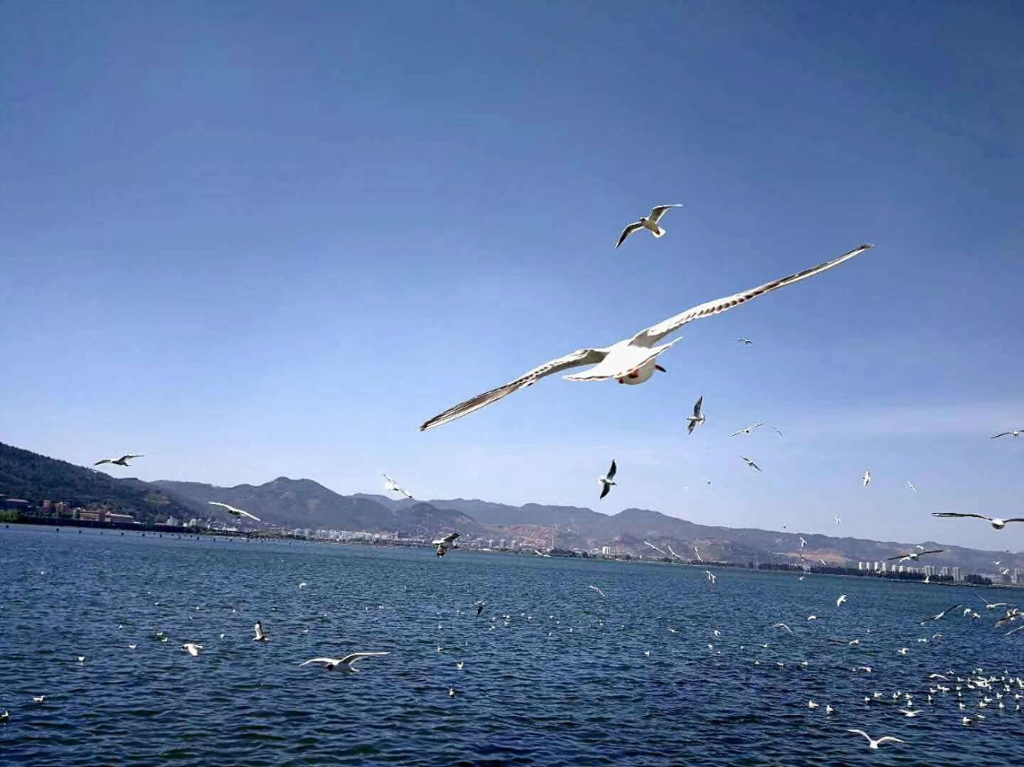 中国人寿荣登全球最大寿险公司榜首