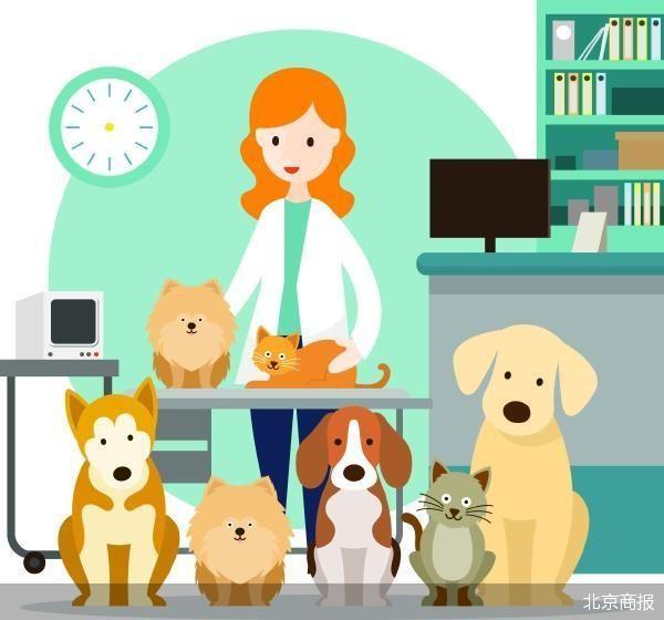 宠物行业加速洗牌：多家老牌企业陷入破产清算