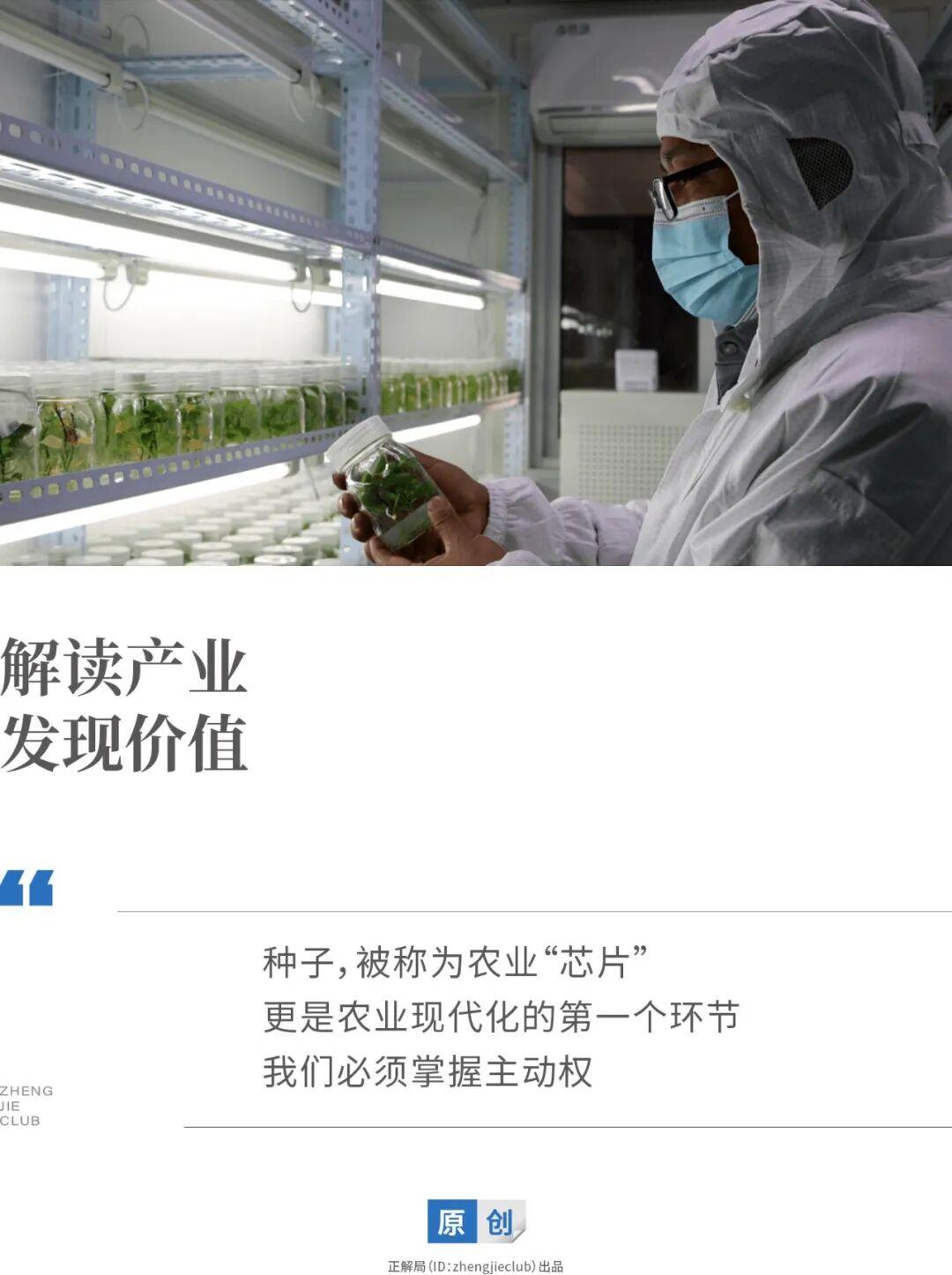 一粒玉米种子赔5000万：中国为什么必须打赢一场“种子战争”?