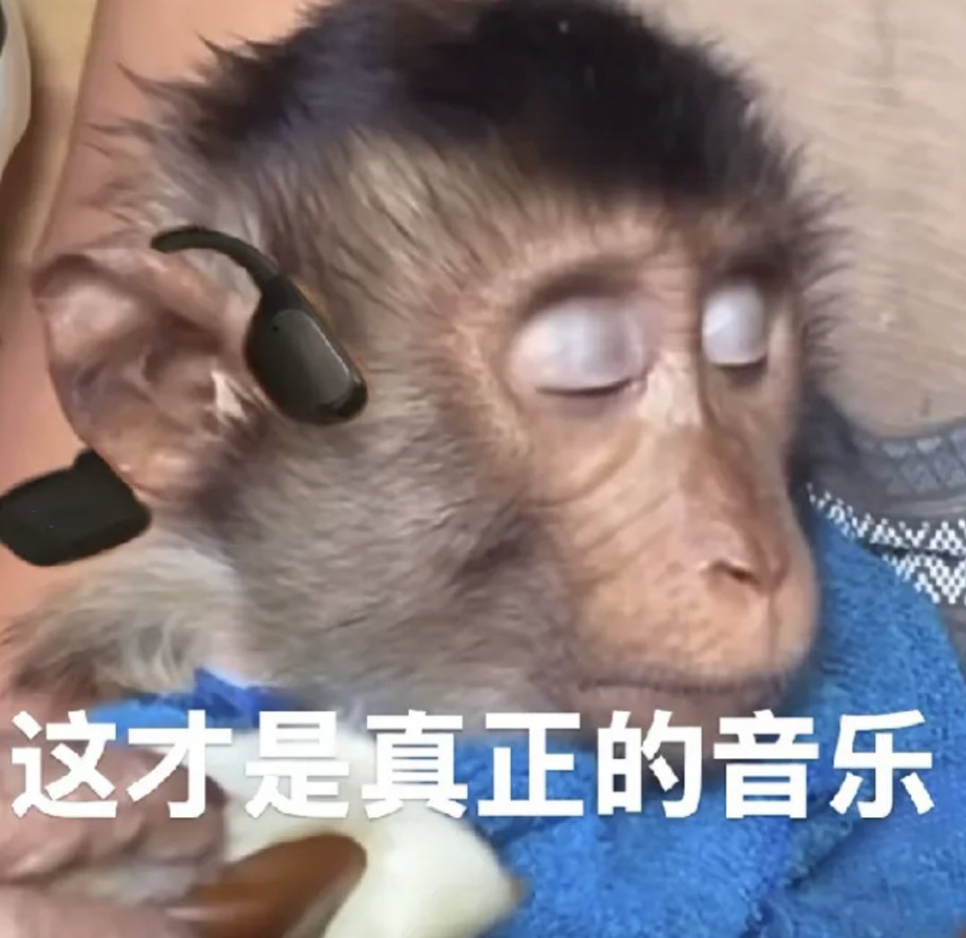 骨传导耳机，拯救中年危机