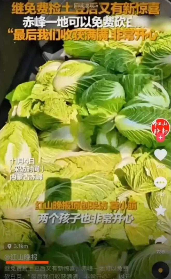 媒体被指失实报道坑农后，其抖音已关闭评论区