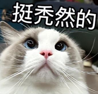 AI医疗APP关键时刻救我一命，真实经历分享