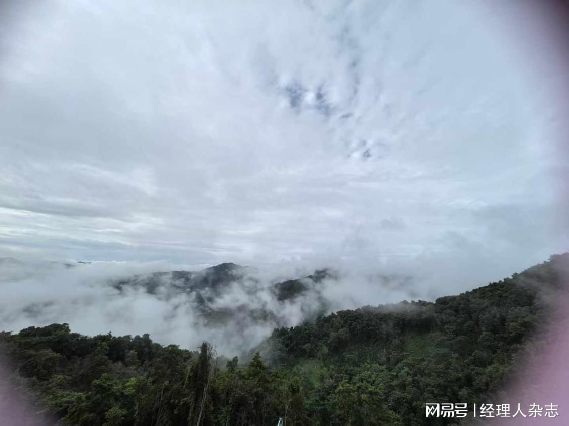 工银安盛人寿再收115万罚单，银行系险企领先地位受冲击