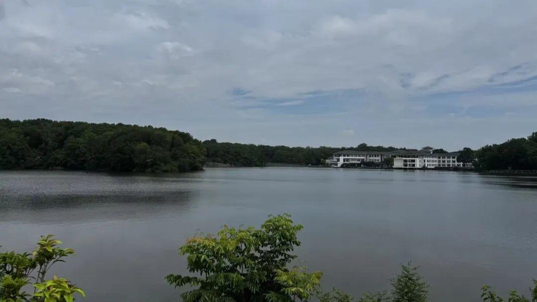 三连板背后：和顺石油5亿跨界芯片，股价异动揭秘