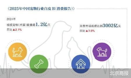 派特鲜生关店近半，宠物鲜食赛道面临哪些挑战？