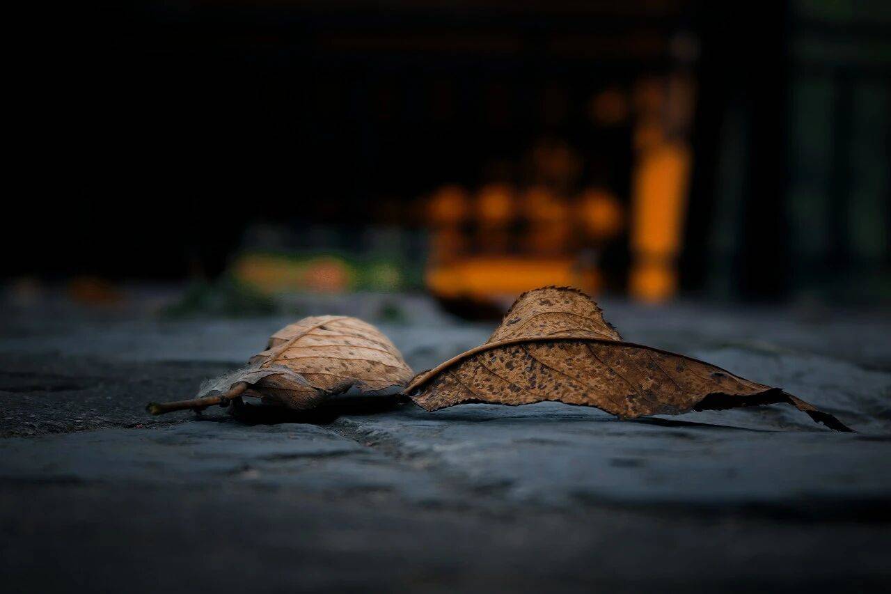 2025年电商行业深度分析：电商进入出清期，商家与平台如何破局？