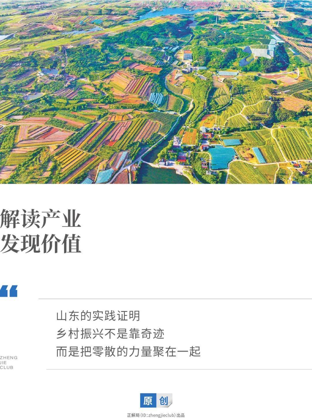 山东乡村片区化探索：乡村振兴的变与新路径