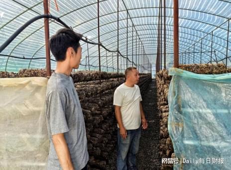 一朵香菇的双城故事：稠州银行金融助力产业跨域发展