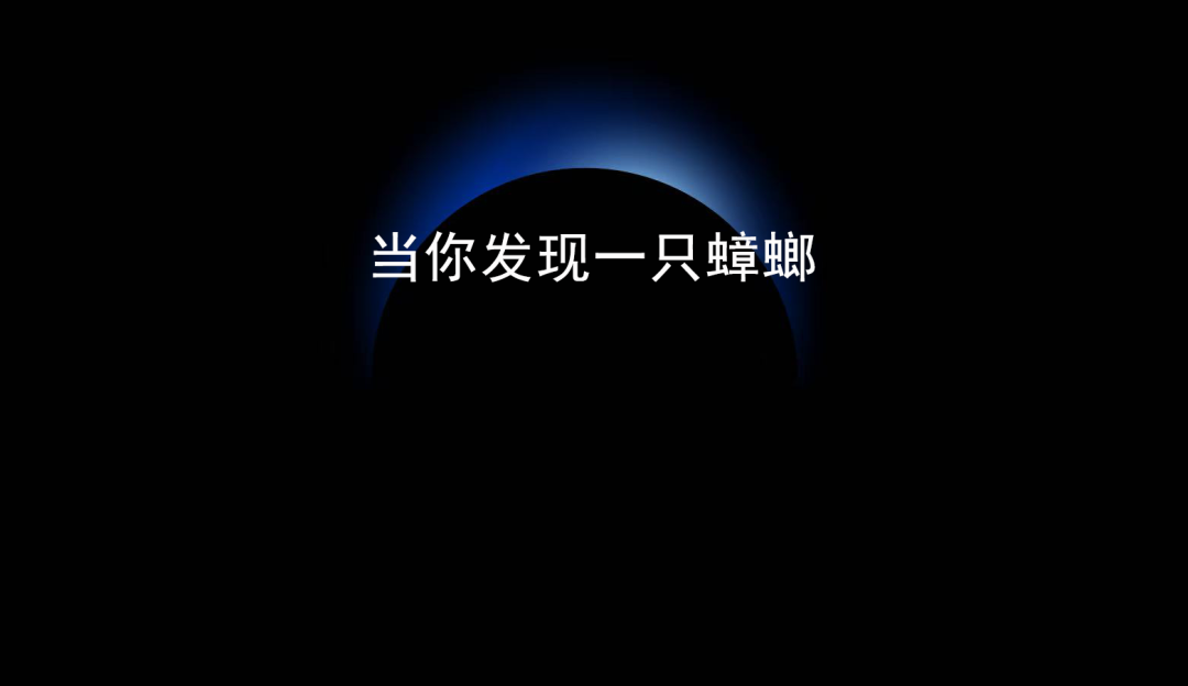 江苏科技大学郭伟教授学历造假事件：高校人才引进漏洞引关注