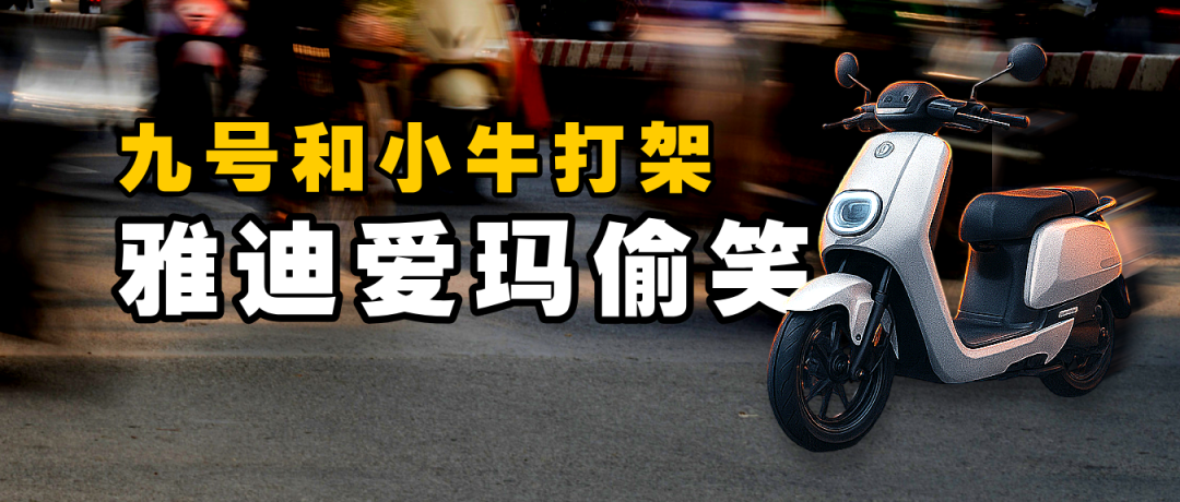 九号和小牛打架，雅迪爱玛偷笑