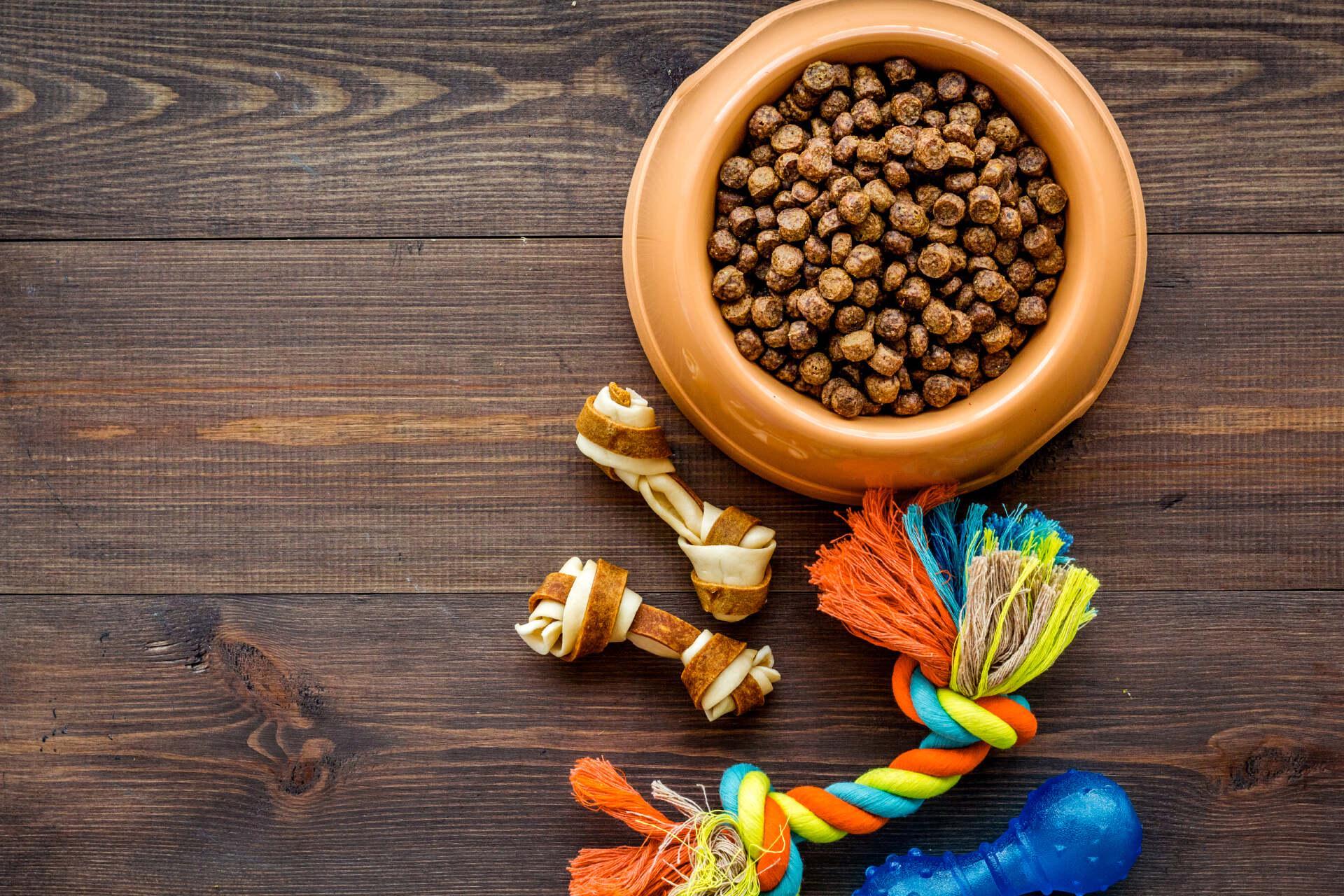 中国宠物经济：万亿赛道下的国产替代与产业集中度提升