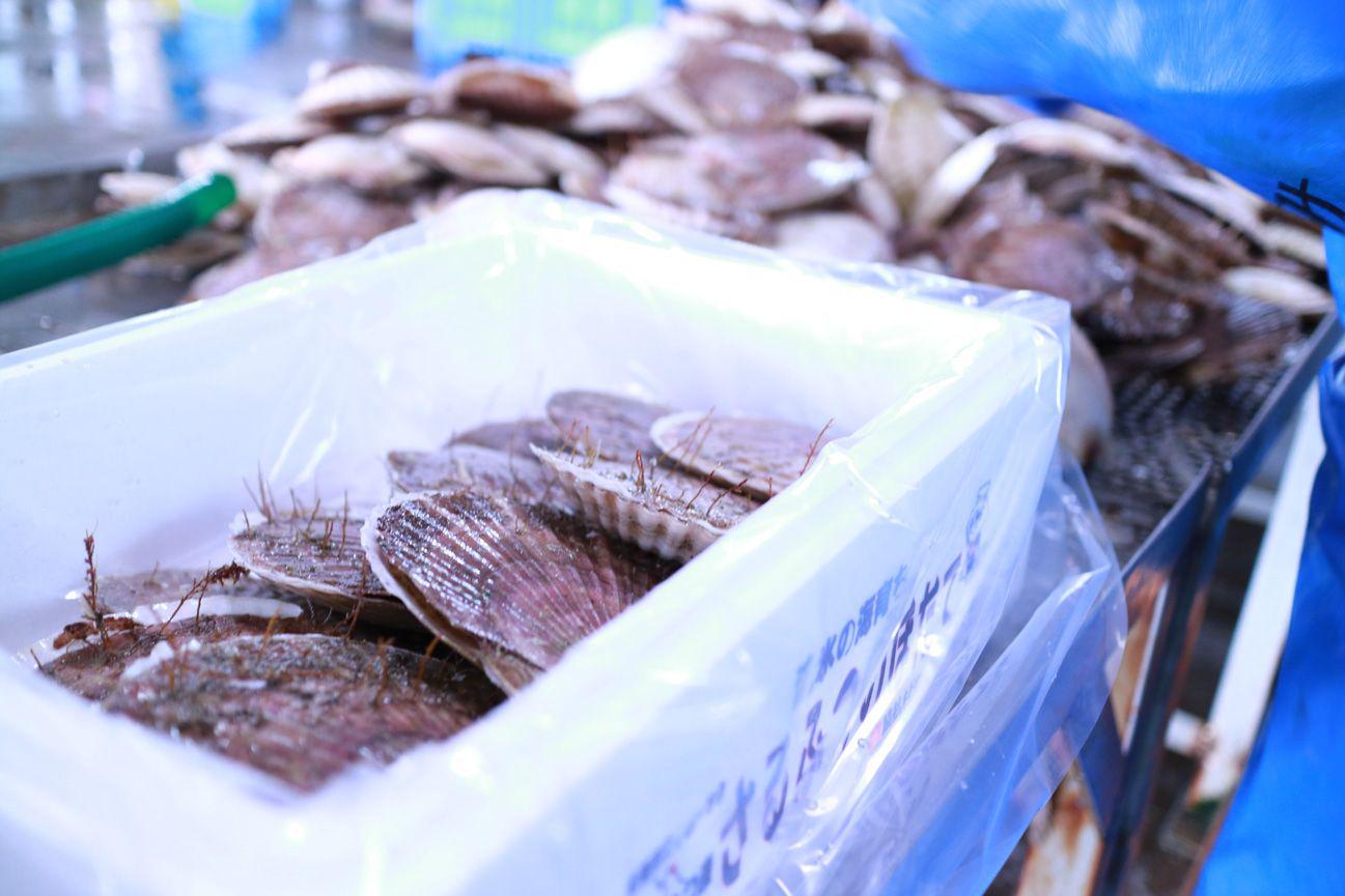 日本水产品暂停入华，印度冻虾冻鱼能否抢占中国市场？