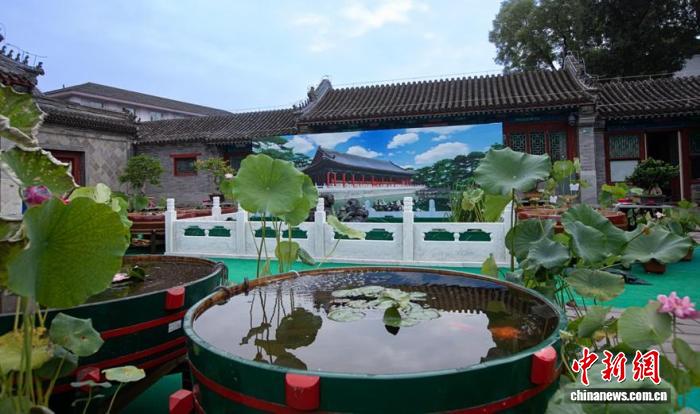恭王府博物馆展出600余尾宫廷金鱼 尽显精雅生活意趣