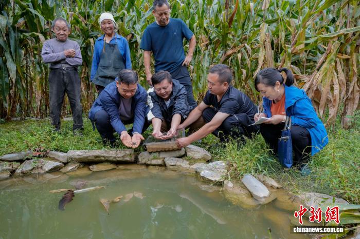 研究人员放归中国小鲵