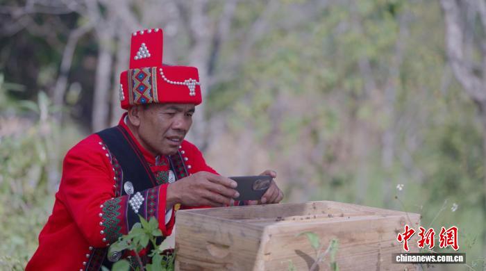 赵爱军查看村里的蜜蜂生长情况