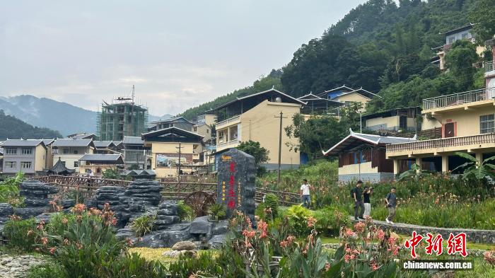 广西田林：生态经济双赢的乡村振兴之路