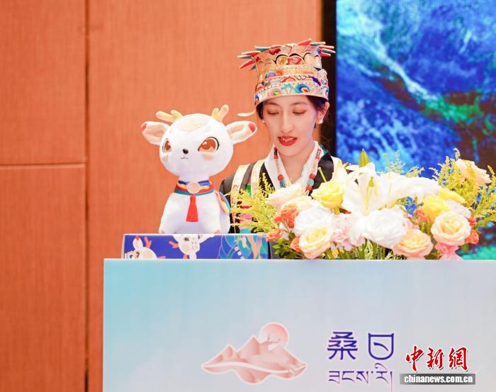 桑日县文旅推介会现场