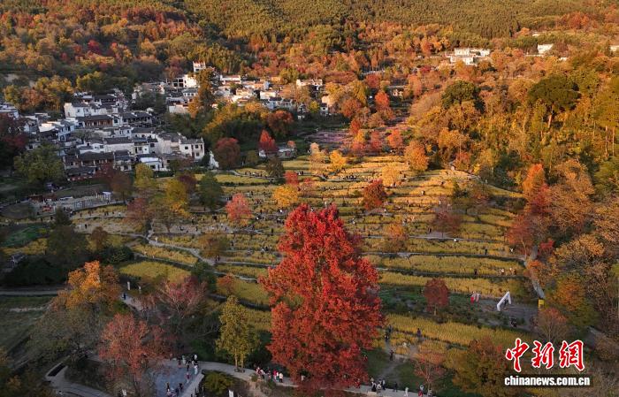 塔川村四季景观