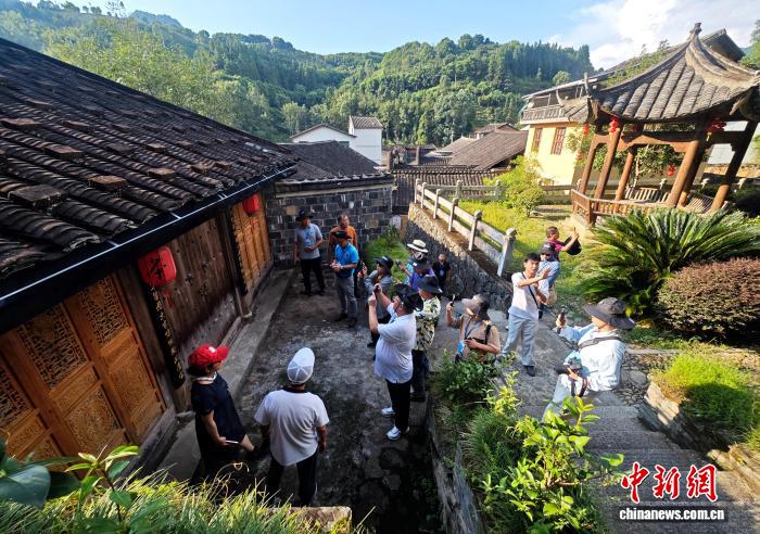 一片茶叶振兴乡村：海外华媒探访坦洋工夫红茶故乡