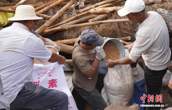 青海海东应对汛情：以快制险，以准保人，筑牢安全防线