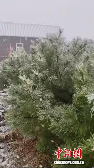 中国最冷小镇呼中今秋首雪
