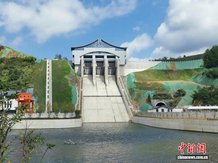 浙江开化水库生态工程：古树移植与鱼类洄游通道创新