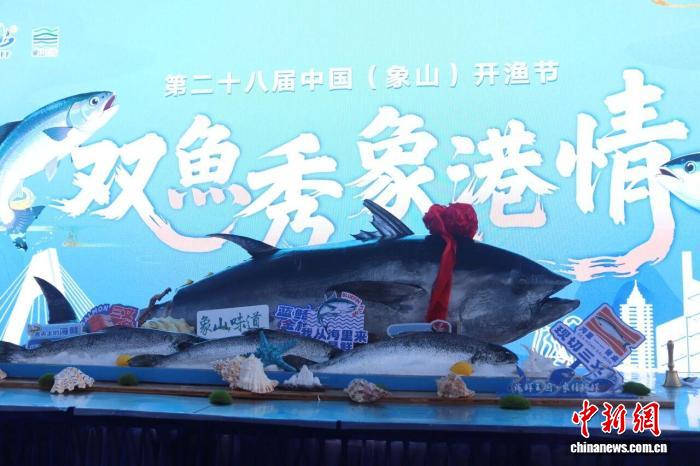 浙江宁波象山上演“双鱼秀” 象港渔业携手共进