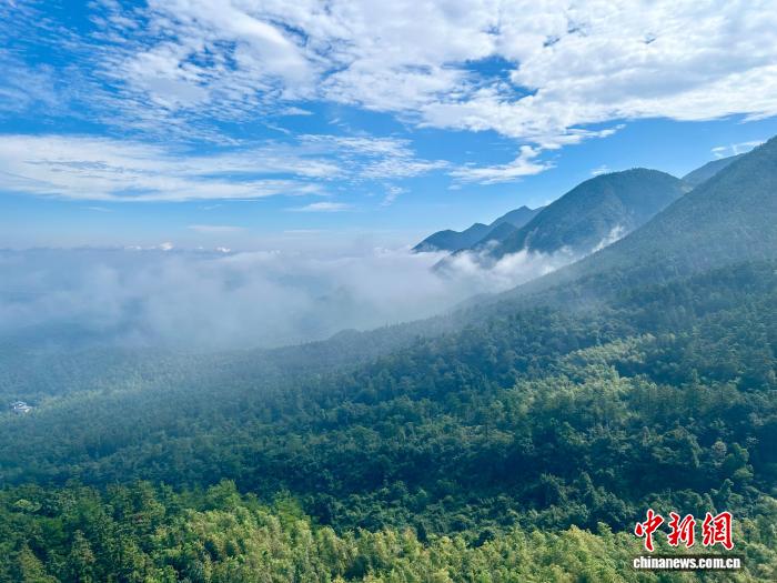 山海联动新篇章：庐山与秦皇岛共筑爱情旅游新IP